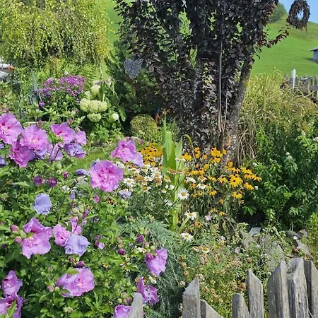 Weitblick * Pill