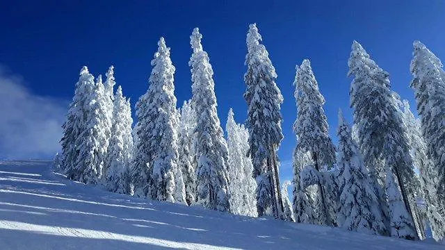 Appartement Weitblick Pill