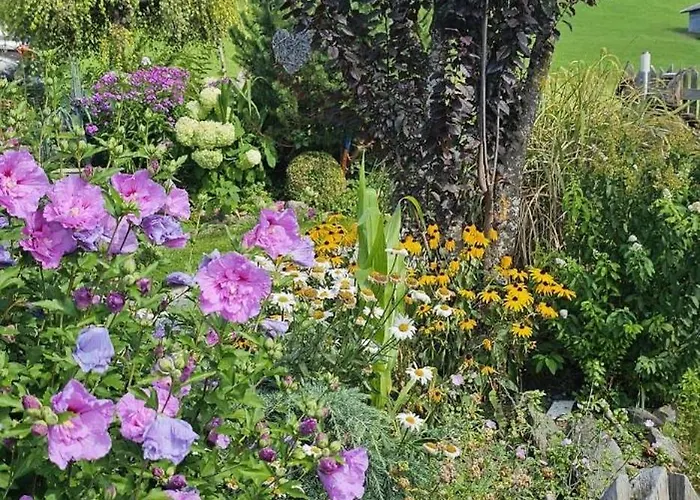 Weitblick * Пилль