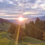 Daire Weitblick Pill